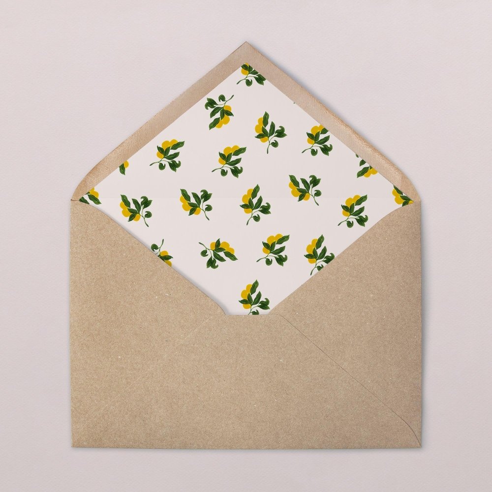 Envelope liners