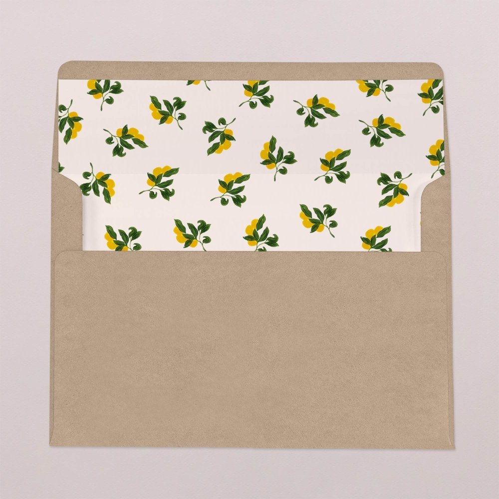 Envelope liners