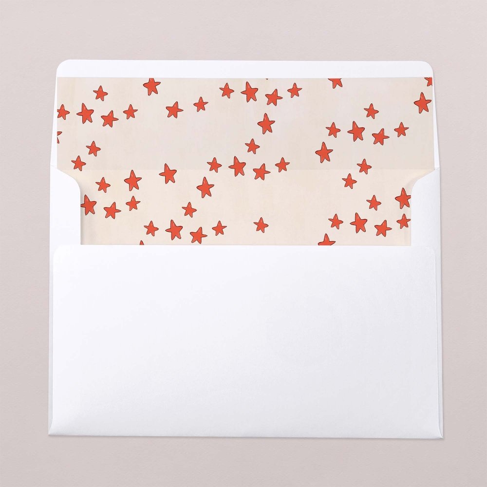 Envelope liner