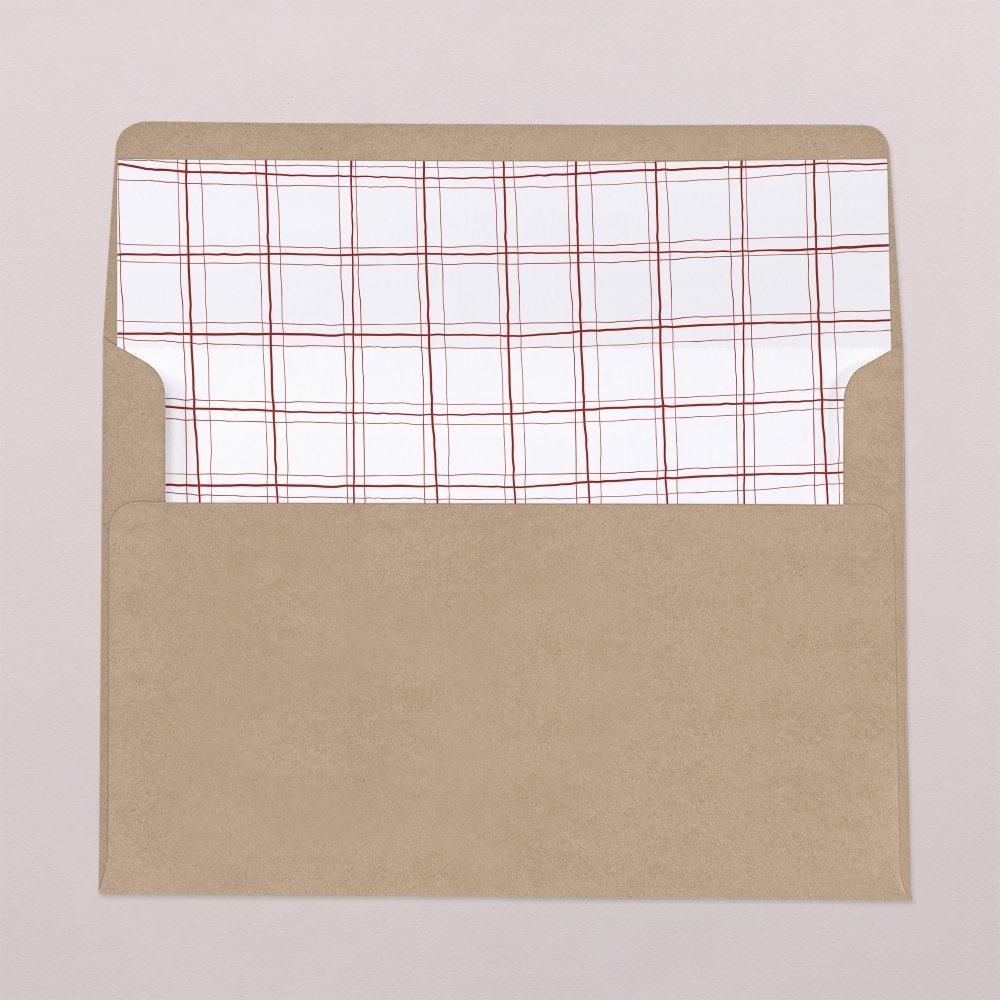 Envelope liner