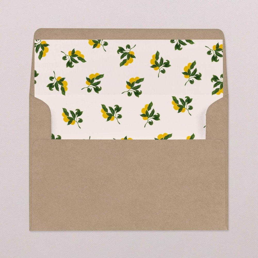 Envelope liners