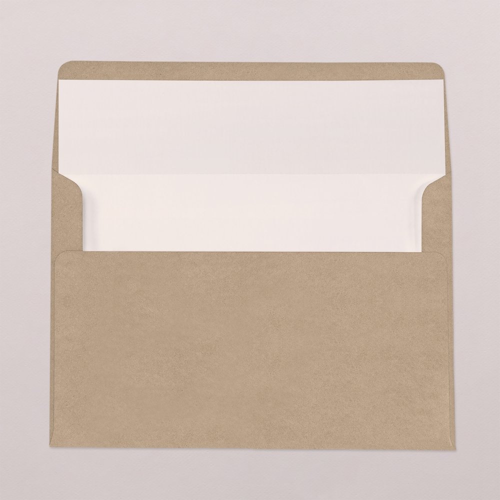 Envelope liner