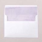 Envelope liners