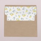 Envelope liners