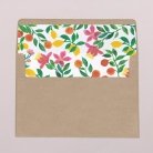 Envelope liners