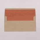 Envelope liners