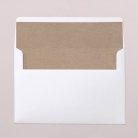 Envelope liners