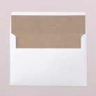 Envelope liners