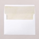 Envelope liners