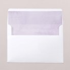 Envelope liners