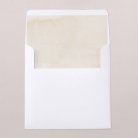 Envelope liners