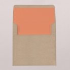 Envelope liners